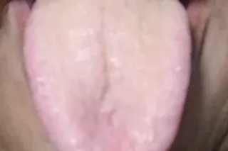 No weird stuff No blind dates ... - Image 2