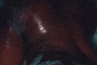 sex therapist💦 - 23 - Image 3