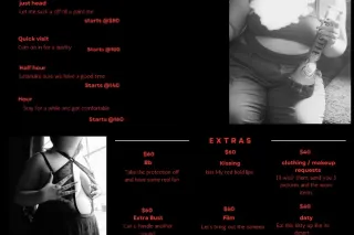 silly goose - 23 - Image 2